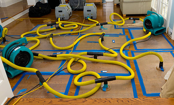 Professional Water Damage Repair technician working in Grayslake, IL